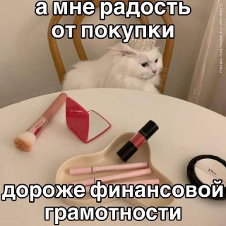 Как не потерять контроль над бюджетом в Москве