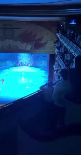 В Большом театре во время балета "Щелкунчик" обнаружена нецензурная надпись