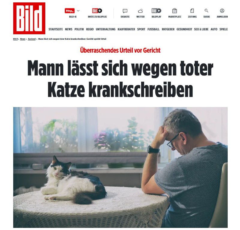 В Финляндии суд обязал работодателя выплатить компенсацию за отказ в больничном после смерти кота