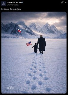 Белый дом опубликовал мем с Трампом и пингвином на фоне обсуждения Гренландии