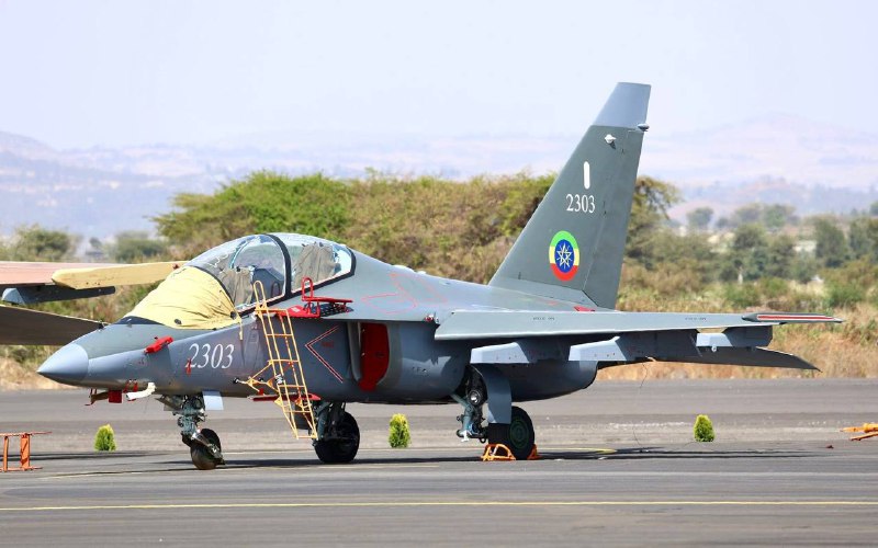 Эфиопия демонстрирует российские Як-130 и "Орион-Э"