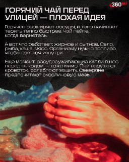 Иллюстрация 8