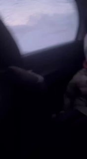 Мальчик расплакался из-за изобилия