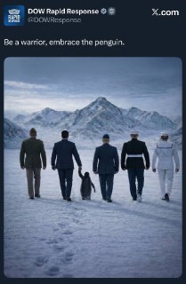 Белый дом и Минобороны США запустили челлендж с пингвинами