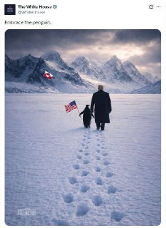 США переселили пингвинов в Гренландию и запустили челлендж