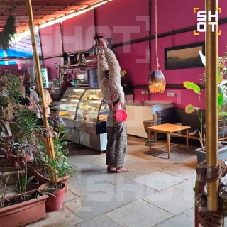 Иллюстрация 2