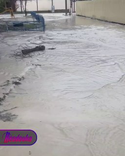 Иллюстрация 1