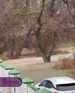 Иллюстрация 2