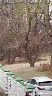 Иллюстрация 6