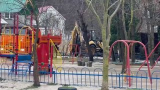 Иллюстрация 1