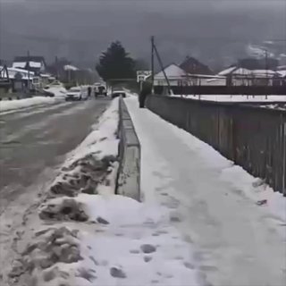 Иллюстрация 1