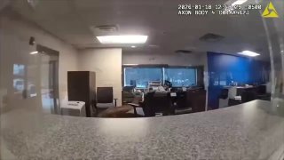 Олень устроил погром в американском банке