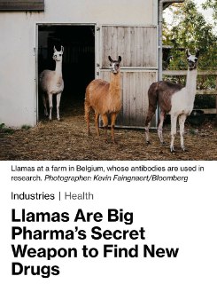 Ламы как лекарство от рака