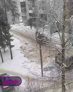 Фонарный столб уронили на припаркованное авто во время уборки в Ленобласти