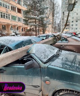 Иллюстрация 2