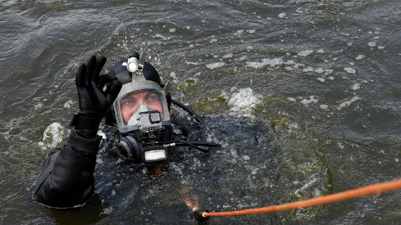 Иллюстрация 2