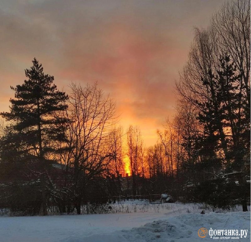 Иллюстрация 1