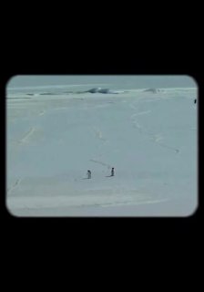 Иллюстрация 4