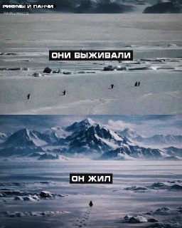 Иллюстрация 5