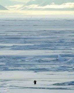 Иллюстрация 8