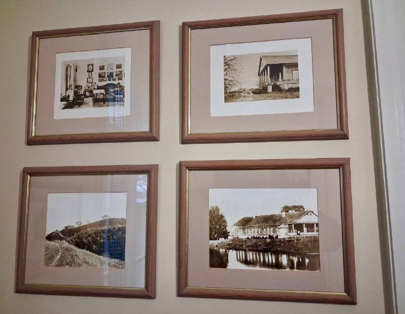 Иллюстрация 5