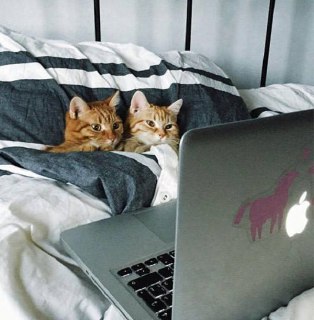 5 фильмов о любви, которые помогут укрепить отношения