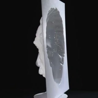 Оптическая иллюзия с маской Эйнштейна