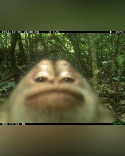 Иллюстрация 5