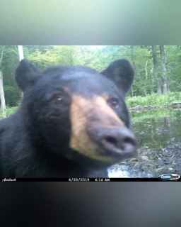 Иллюстрация 6