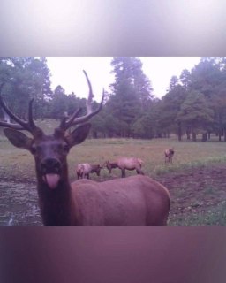 Иллюстрация 7