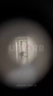 Иллюстрация 2