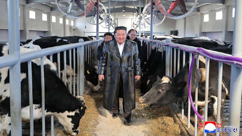 Ким Чен Ын признал провалы в сельском хозяйстве КНДР