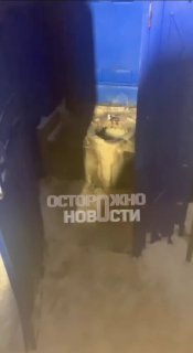 Иллюстрация 2