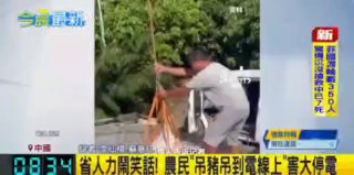 Фермер отправил свинью на дроне и оставил часть города без электричества в Китае