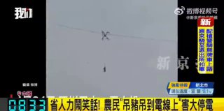 Иллюстрация 1