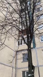 Иллюстрация 1