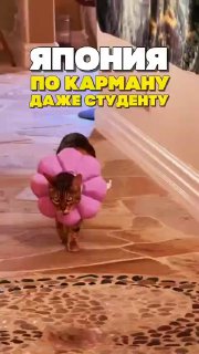 Иллюстрация 2