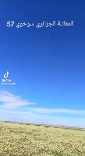 Полеты Су-57Э и Су-35 в цветах ВВС Алжира зафиксированы в сети