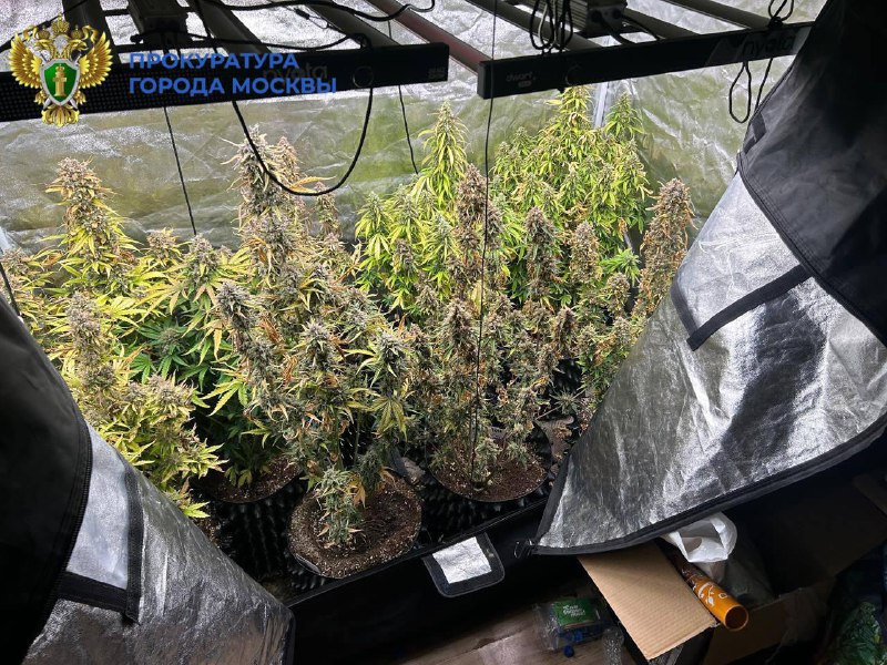 Иллюстрация 2