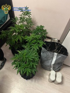 Иллюстрация 3