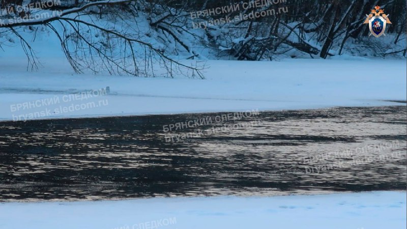 В Брянске обнаружено тело ребенка, погибшего на льду