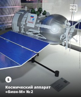 Иллюстрация 5