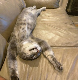 Учёные: Безделье полезно для психики