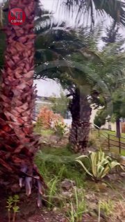 В Сочи объявлена тревога из-за наводнения