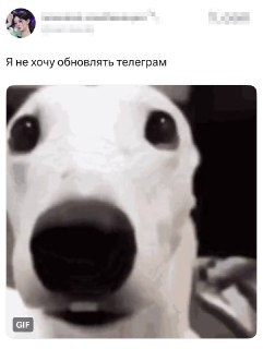 Иллюстрация 2