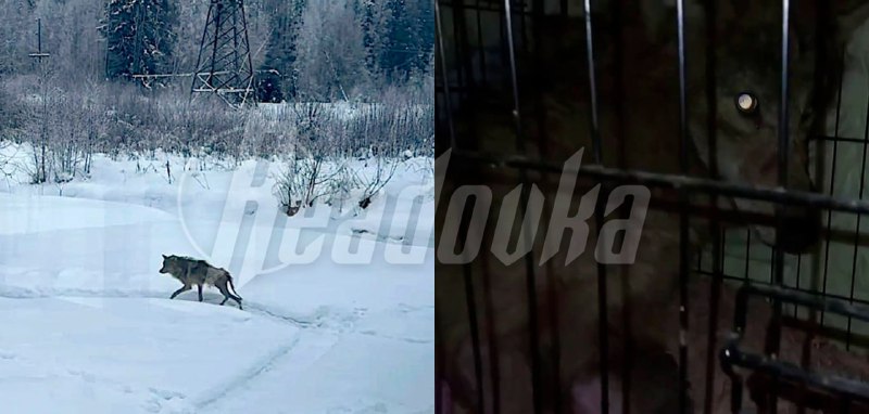 Иллюстрация 2