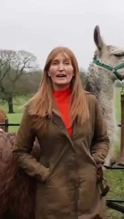 В Великобритании ламы задержали вора своим «смехом»