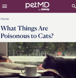 Опасные продукты для кошек