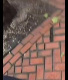 В Берлине мигранты напали на подростка, но его спас местный житель