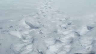 Вышел тизер фильма «Мандалорец и Грогу»